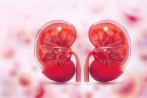 Rim - Doença Renal Crônica